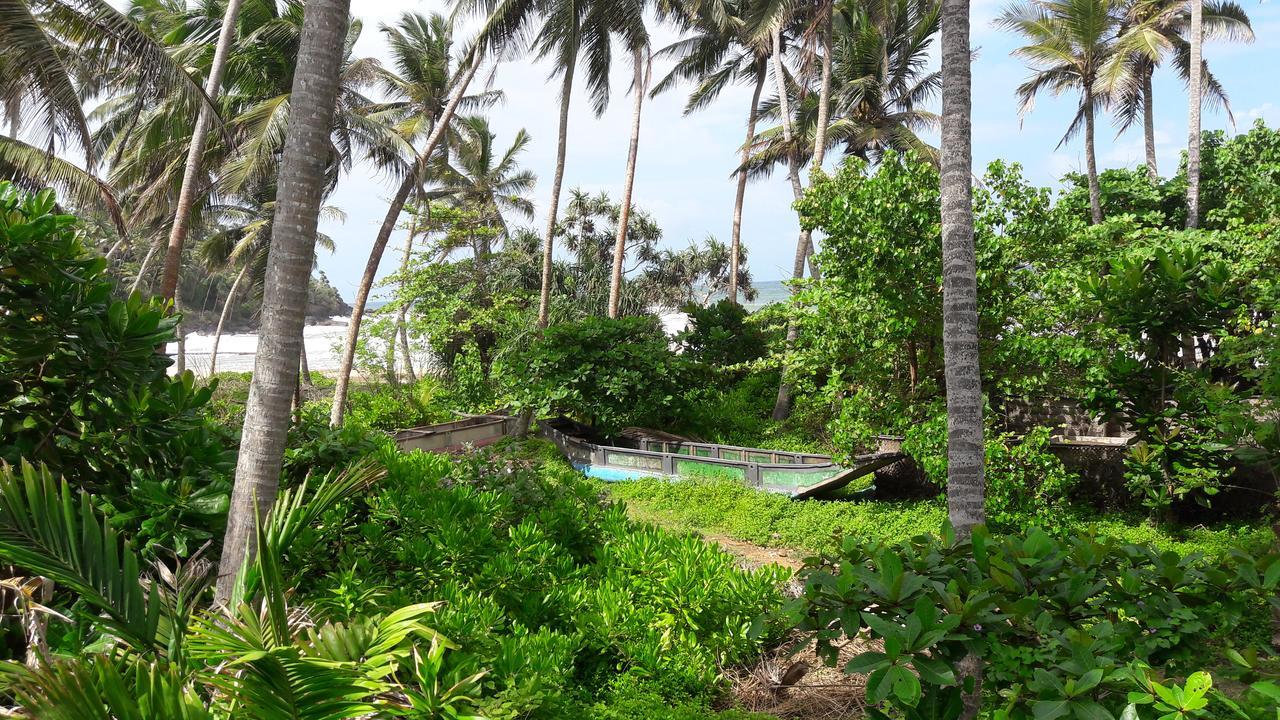 Leatherback Beach Villa Ahungalla Kültér fotó